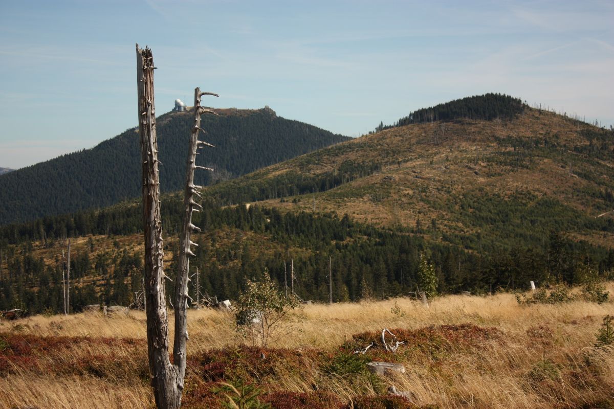 Rund um den Arber Der Naturpark Bayerischer Wald